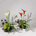 Calla Arrangement